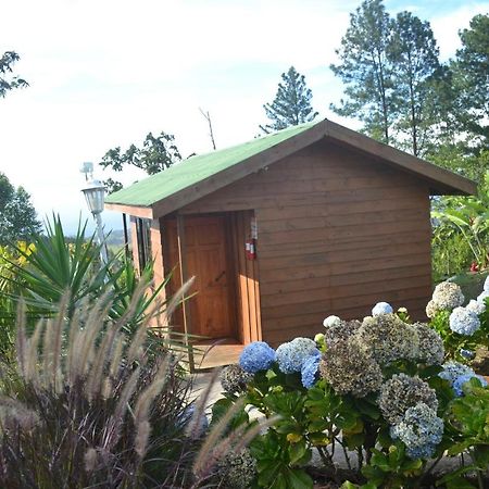 Villa Eco Granja Don Lolo Ciudad Quesada Exterior foto